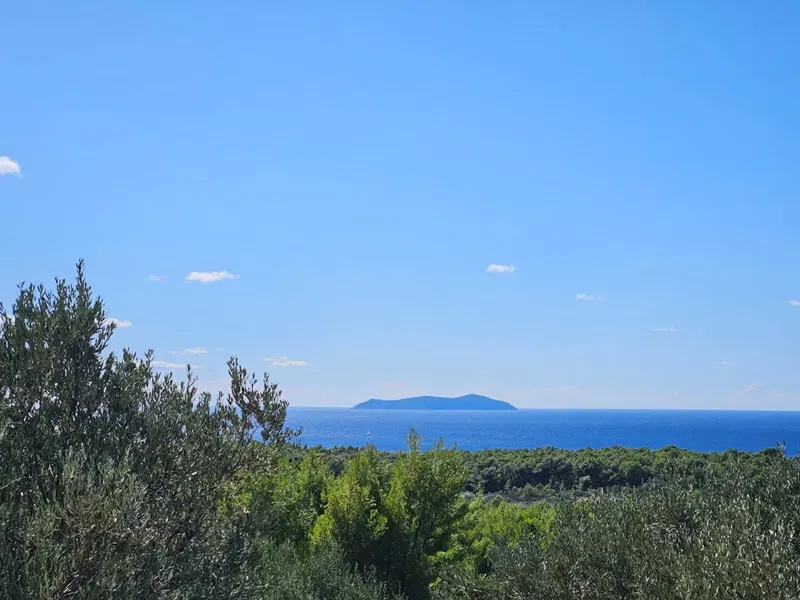 Korčula, Potirna, a sziget déli része, 8 949 m²-es mezőgazdasági terület rommal és kilátással