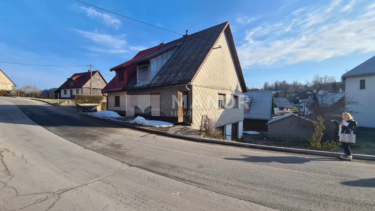 DELNICE, CRNI LUG - Dvojna kuća s okućnicom, 100 m2