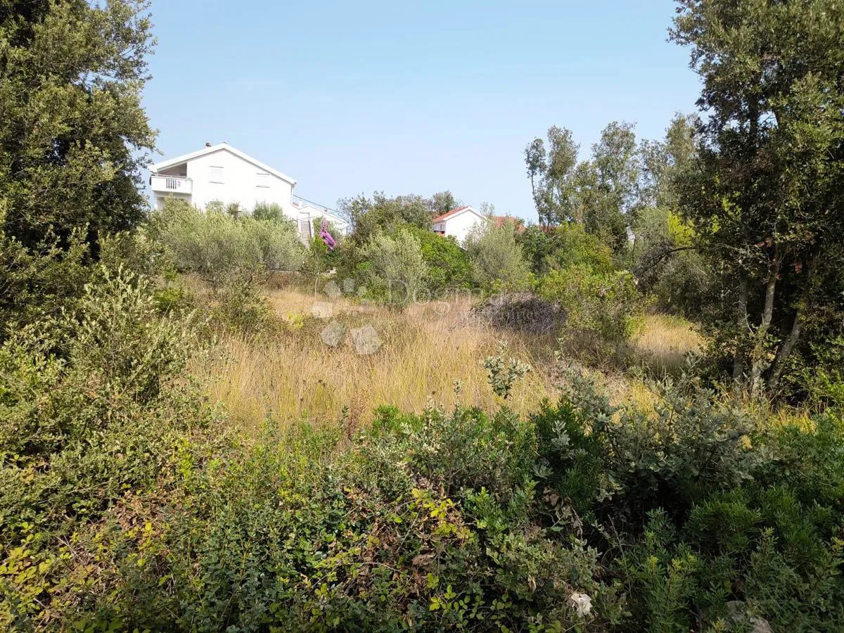 Terreno edificabile Ždrelac, Pašman, 1.600m2