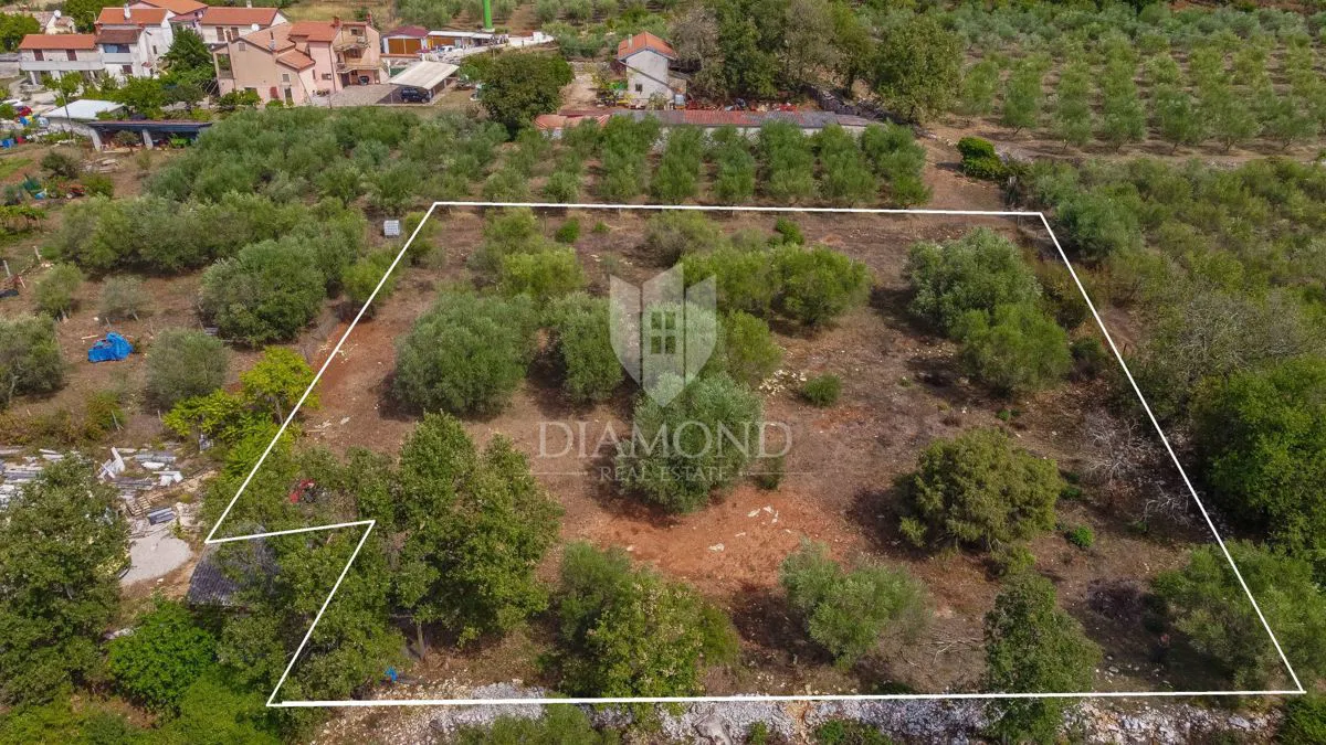 Buje, dintorni, una terra idilliaca con vista!