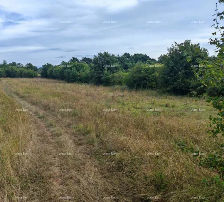 Građevinsko zemljište površine 1.600 m² u blizini Svetvinčenata