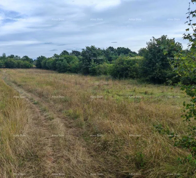 Građevinsko zemljište površine 1.600 m² u blizini Svetvinčenata