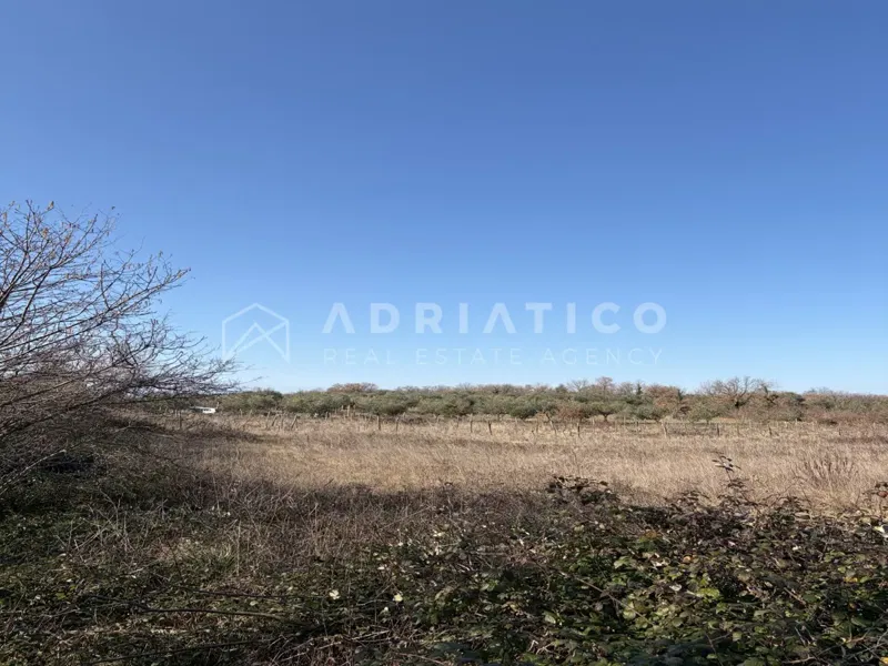 Savudria, Istria – Ampio terreno in zona tranquilla