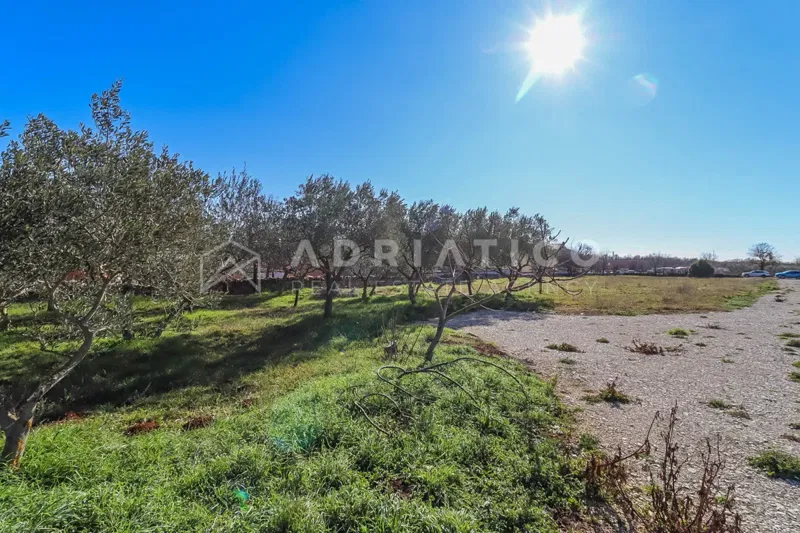 Dignano (Vodnjan), Istria – Splendido terreno edificabile