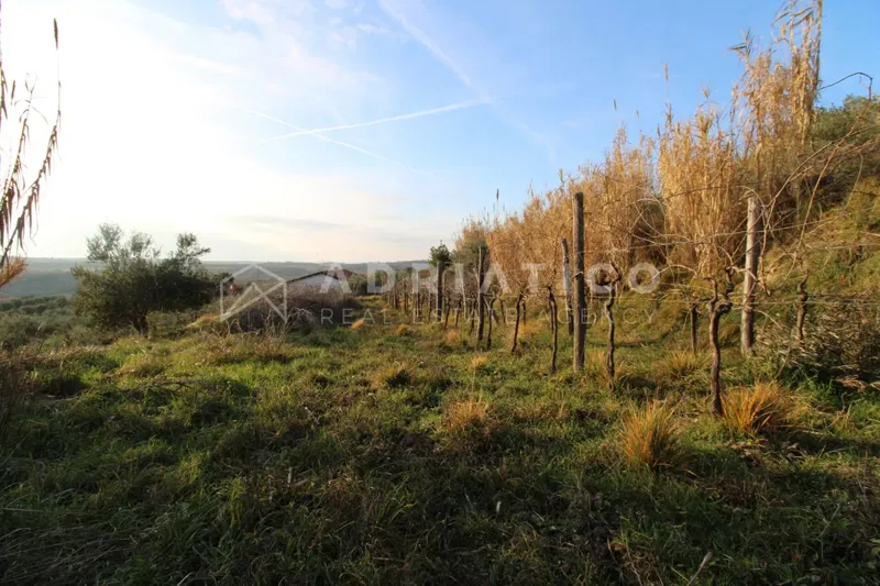 Buje, Istra - Zemljište sa predivnim panoramskim pogledom