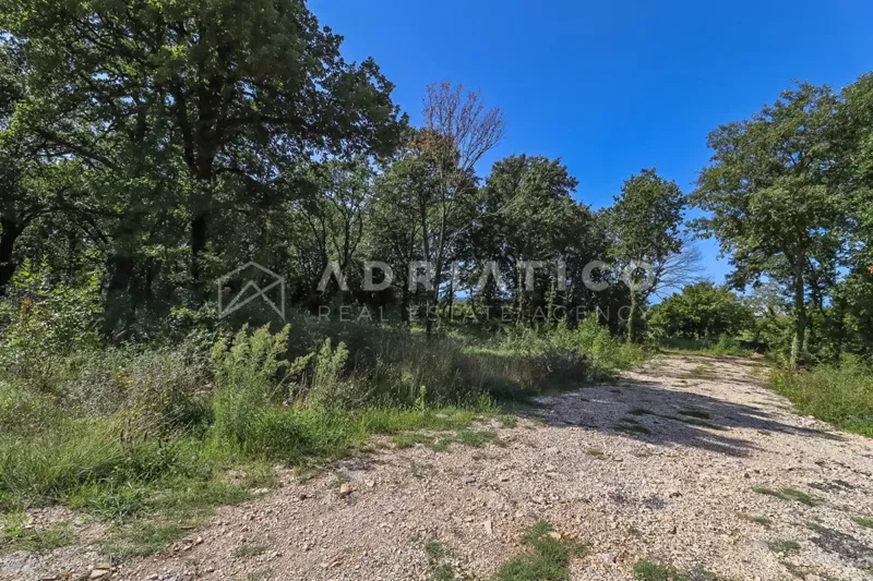 Kanfanar, Istra - više građevinskih zemljišta na odličnoj lokaciji!