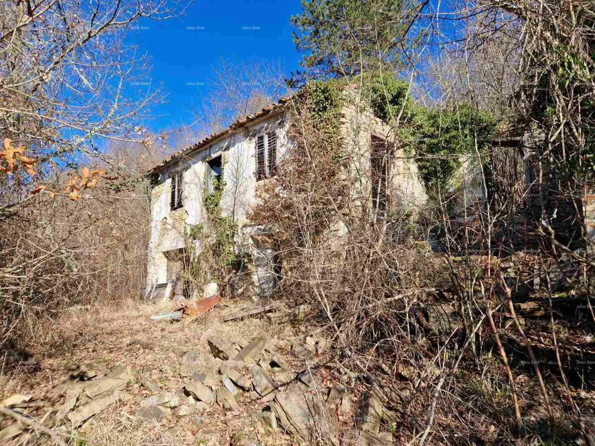 Vendita - grande proprietà/stazione nel cuore dell'Istria, Pazin! Opportunità d'investimento!