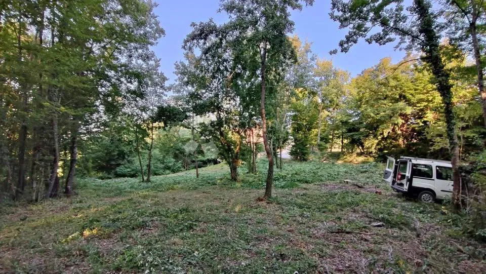 Építési telek Stari Pazin, Pazin, 1.209m2
