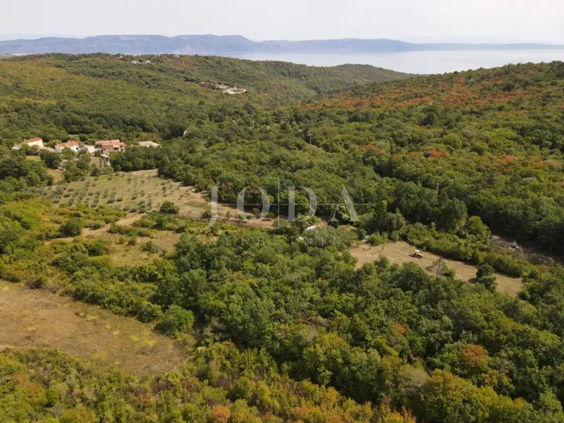 Terreno agricolo 27.800 m² con mobili antichi - Labin – 2