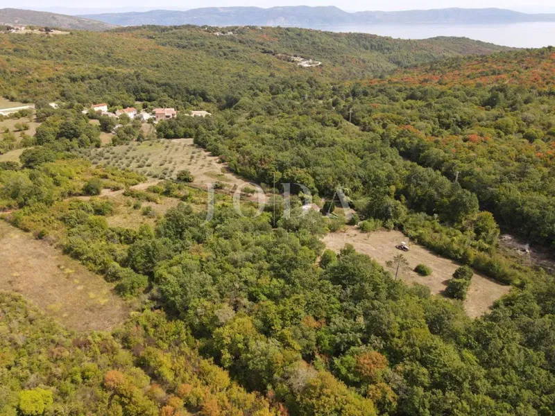 Terreno agricolo 27.800 m² con mobili antichi - Labin – 3