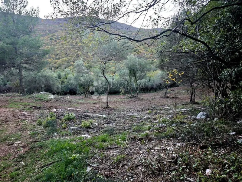 Ziemia rolna Labin, 8.200m2 – 3