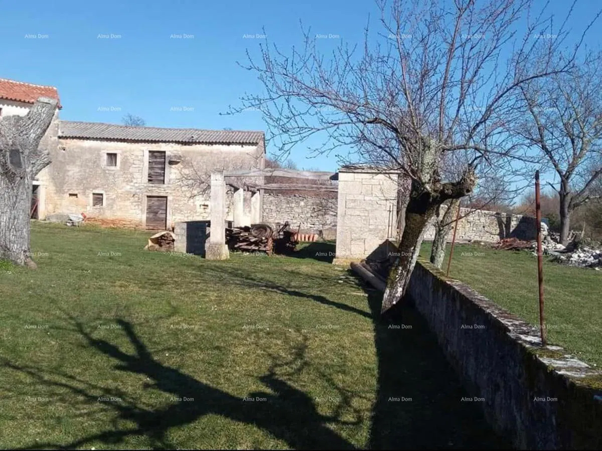 Pazin, Istra - dvije stare kamene kuće s velikim zemljištem