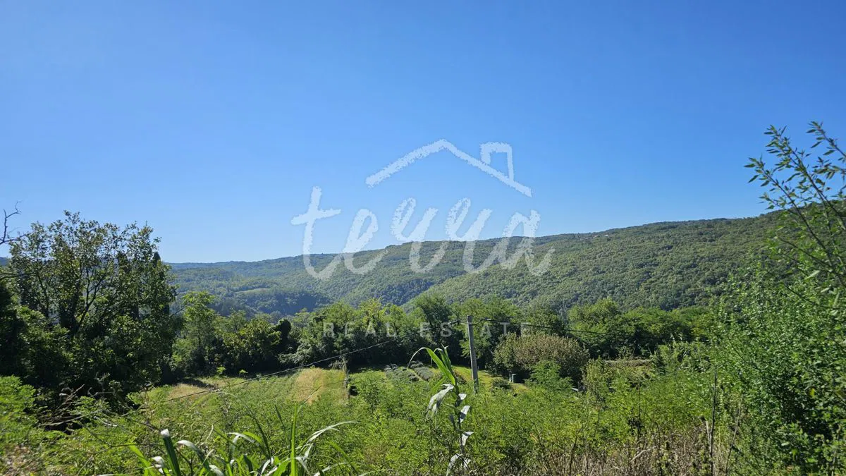 Građevinsko zemljište 1965m2,MOTOVUN okolica