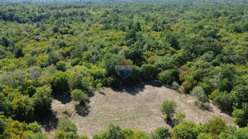 ISTRA, BADERNA - Ruševina 93 m2, gr. zemljište 2.000 m2, 35.000 m2 poljoprivredno