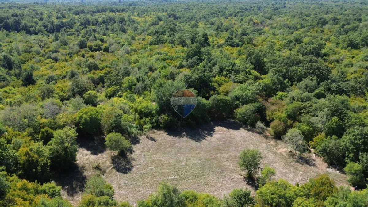 ISTRA, BADERNA - Ruševina 93 m2, gr. zemljište 2.000 m2, 35.000 m2 poljoprivredno