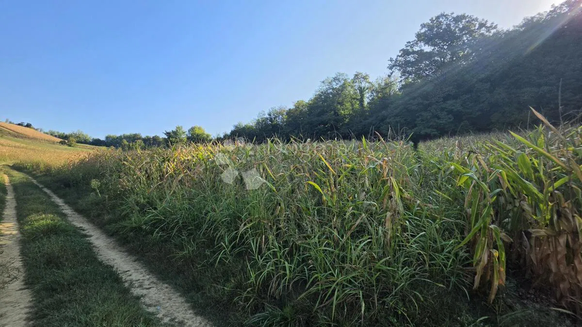Ziemia rolna Lepajci, Krapina - Okolica, 1.203m2