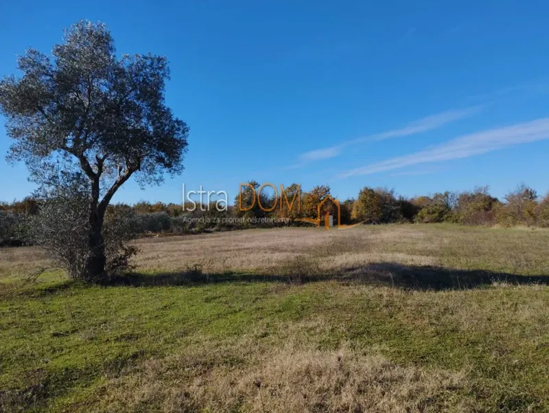 * BUTKOVIĆI – 5.864 m² POLJOPRIVREDNOG ZEMLJIŠTA *