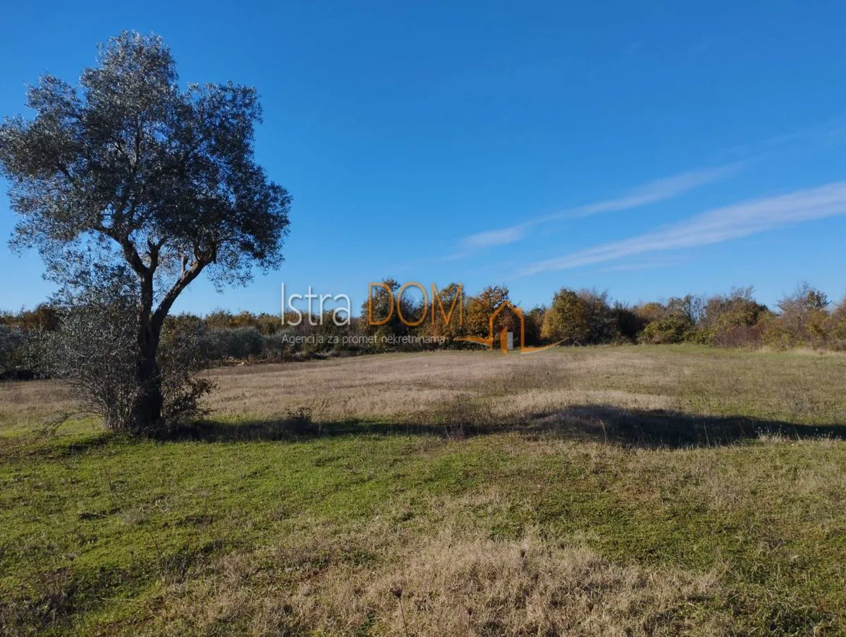 * BUTKOVIĆI – 5.864 m² POLJOPRIVREDNOG ZEMLJIŠTA *