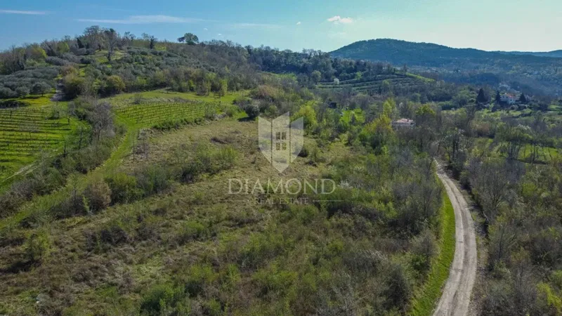 Motovun, Umgebung, 12.600 m² großes Grundstück in ruhiger Lage mit freiem Blick!
