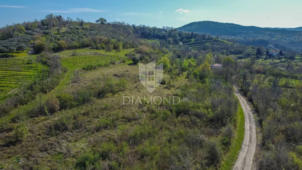 Motovun, dintorni, terreno di 12.600 m2 in posizione tranquilla con vista aperta!