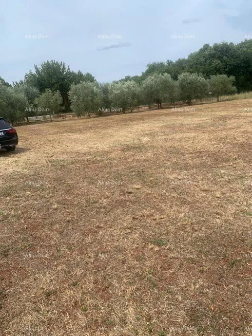 GRAĐEVINSKO ZEMLJIŠTE BLIZU BRTONIGLE – 2.470 m²
