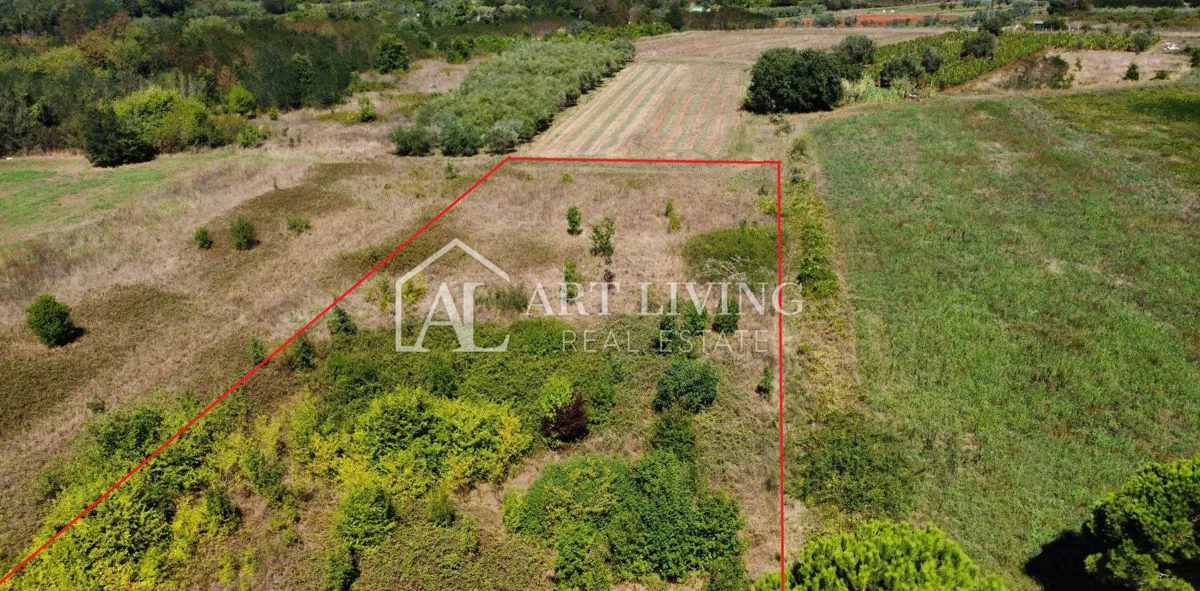 Umag,  atraktivno prostrano građevinsko zemljište, 3.265 m2