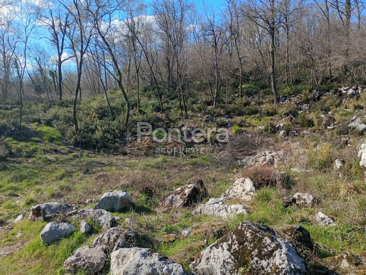 Pôda Matulji, 1.291m2