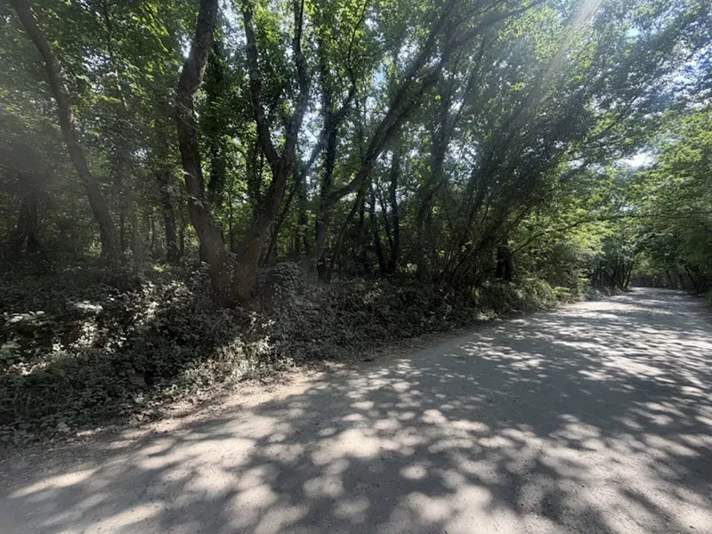 VABRIGA, an der Hauptstraße Poreč – Tar, Waldgrundstück, 5666 m²   (PZ-247-2)