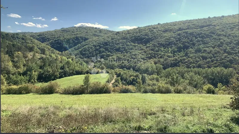 Bauland Brkač, Motovun, 1.488m2