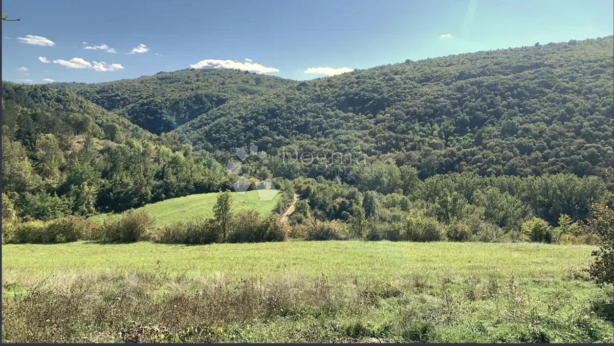 Terreno edificabile Brkač, Motovun, 1.488m2