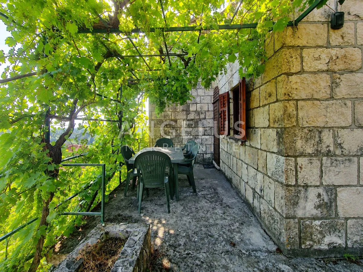 Konavle, Čilipi – kamena kuća na mirnoj lokaciji - PRODAJA