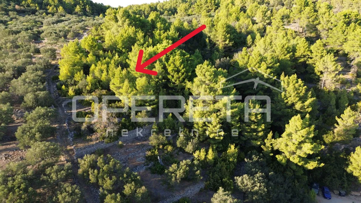 Vela Luka, Sokolić - 602 m2 s pogledom na more i 10 maslina