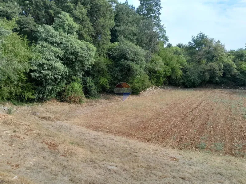 Bauland Cukrići, Svetvinčenat, 1.708m2