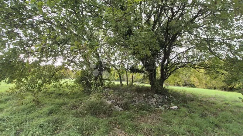 Építési terület 574 m2 + mezőgazdasági terület 10325 m2 Valturában
