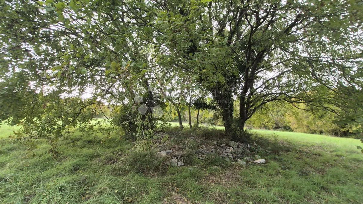Građevinsko površine 574 m2 + poljoprivredno površine 10325 m2 u Valturi