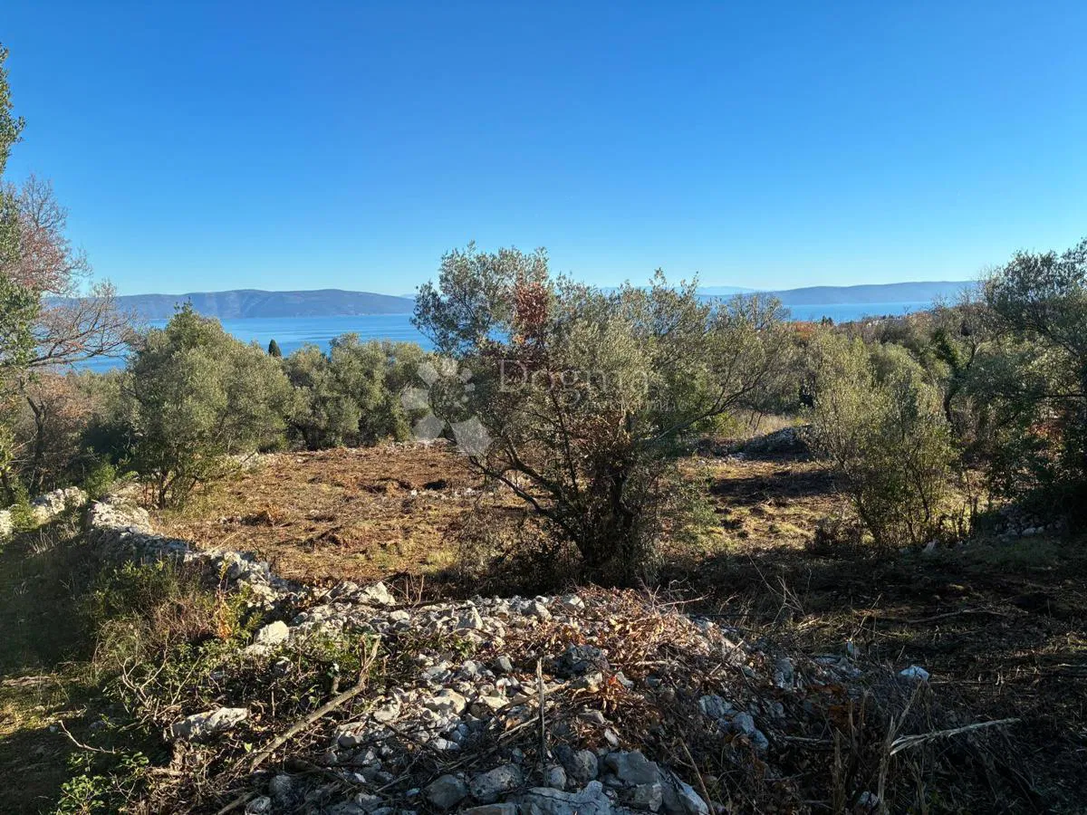 Terreno edificabile Drenje, Raša, 1.030m2