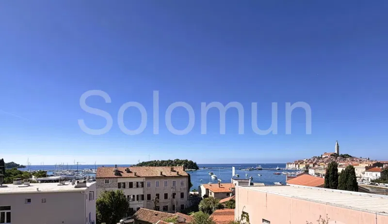 Rovinj – stan s pogledom na more i stari grad, garažom i vrtom.