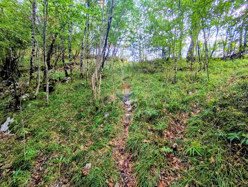 Marčelji, Garići, šumsko zemljište 2668m2