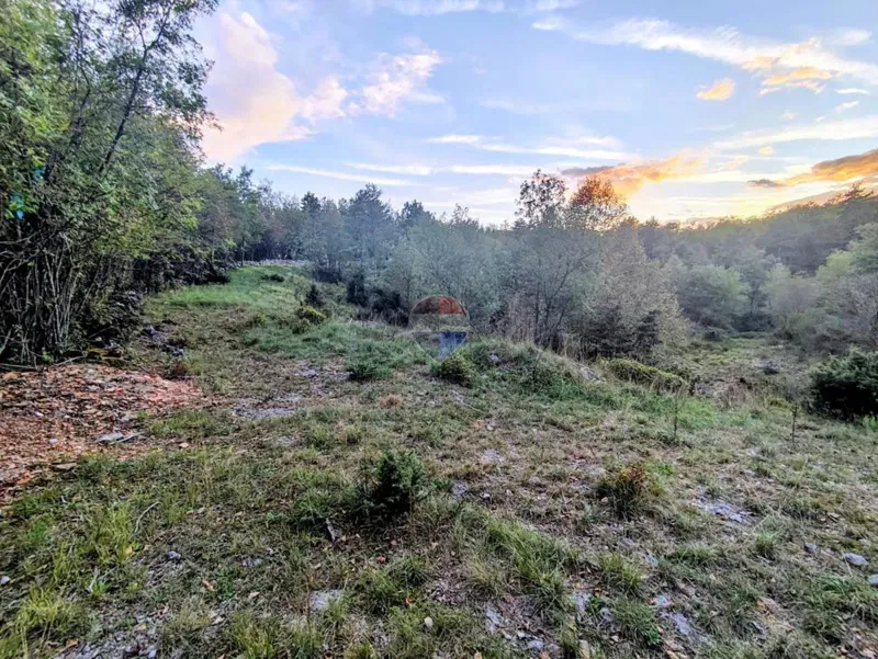 Marčelji, šumsko zemljište 7750m2