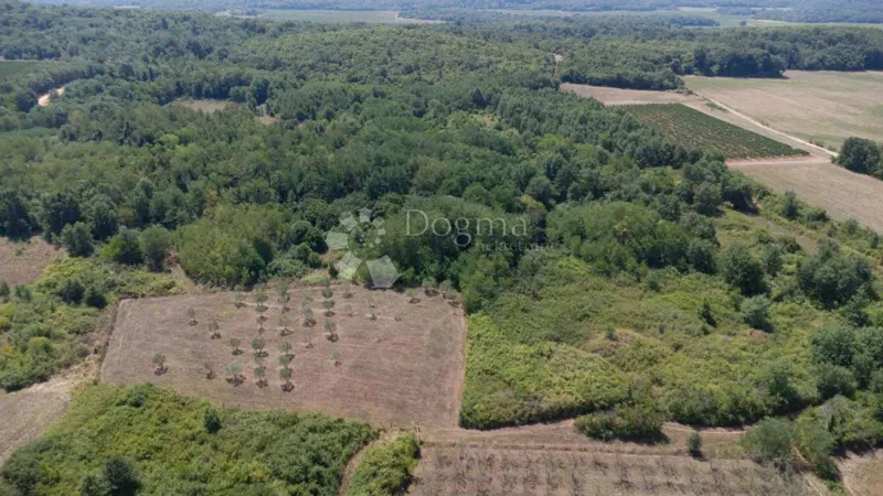 Építési telek Fuškulin, Poreč, 47.418m2