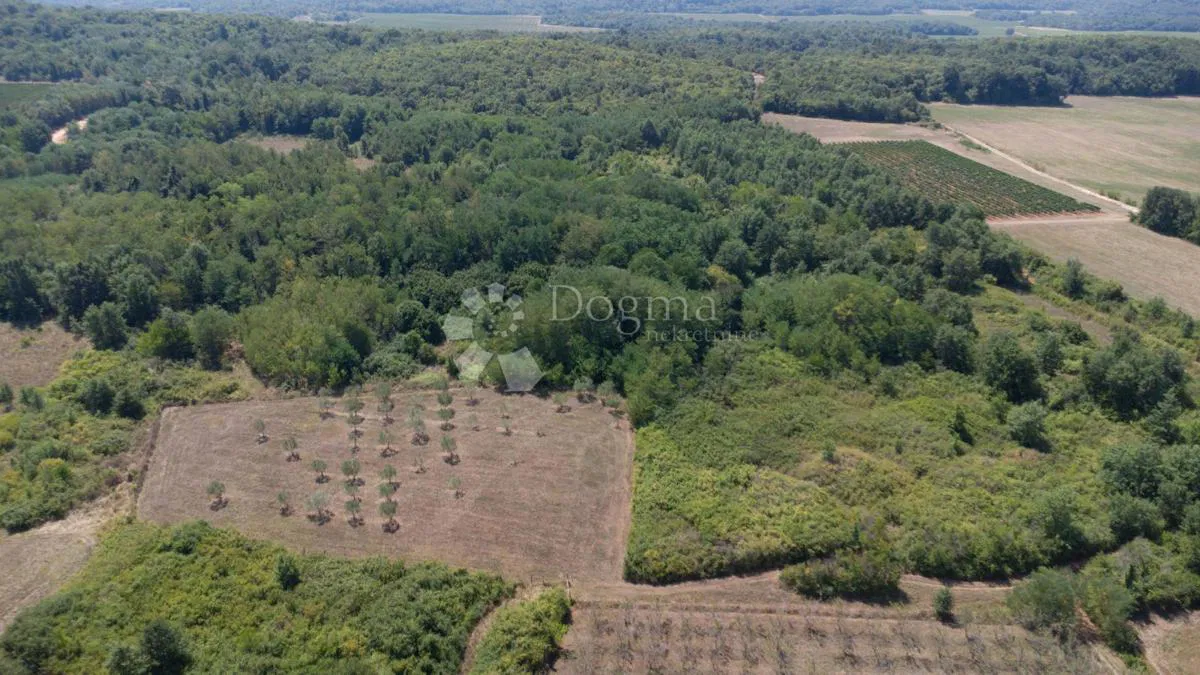 Építési telek Fuškulin, Poreč, 47.418m2