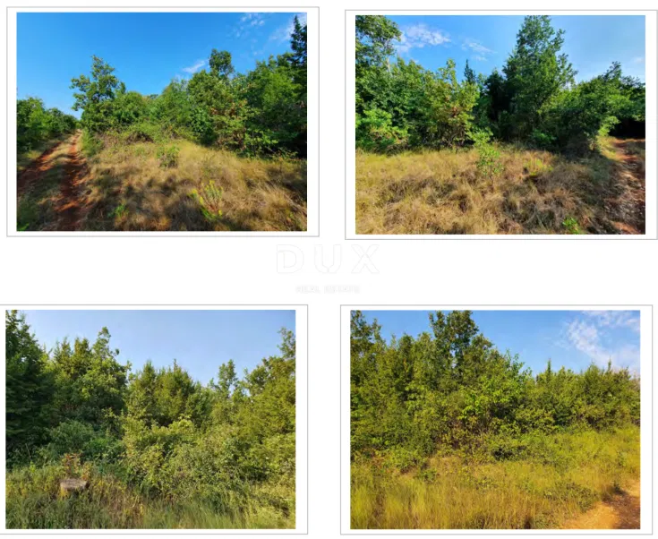 Kaštelir, Diklići, Wald, 11.259 m2, kommerzielle Zwecke, Š1