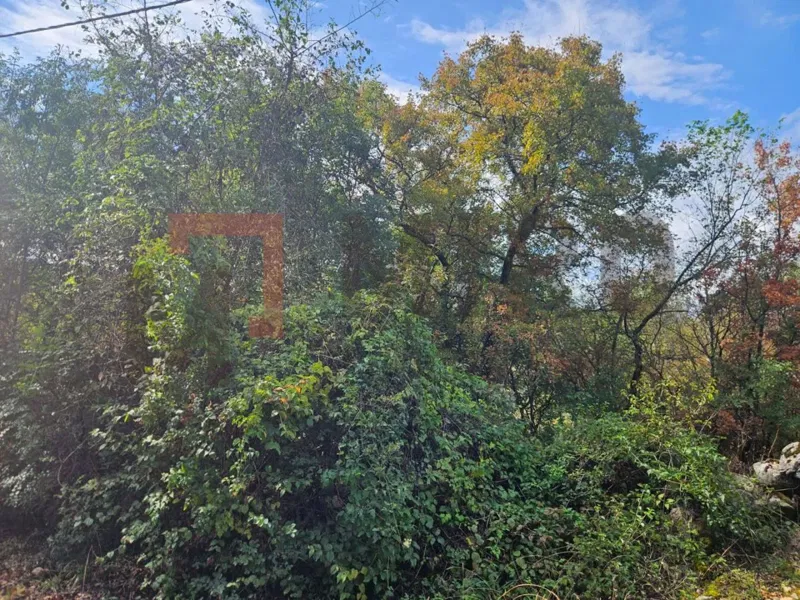 Vrbnik okolica, veliko poljoprivredno zemljište