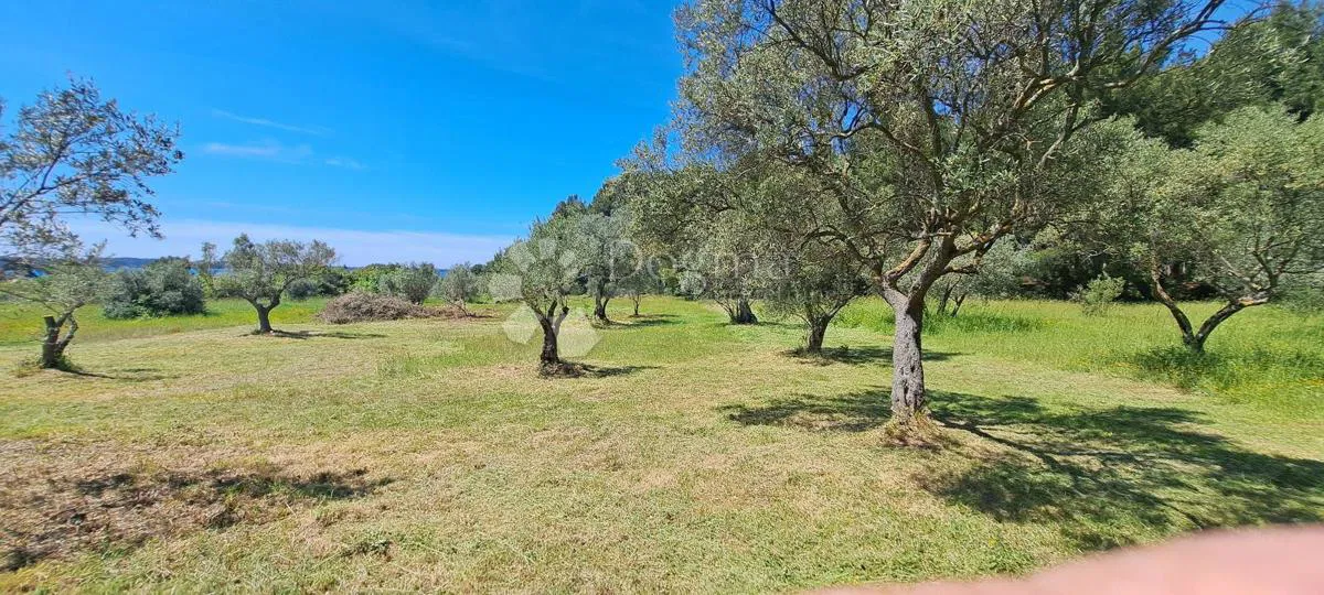 Terreno agricolo Peroj, Vodnjan, 2.873m2