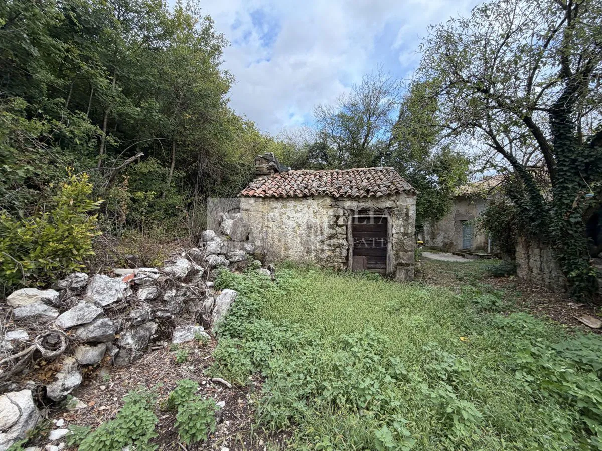 Istra Roč okolica kamena starina !