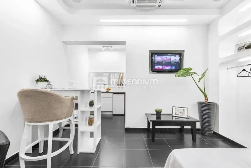 Rijeka, Centar, 31.45m2, namješten