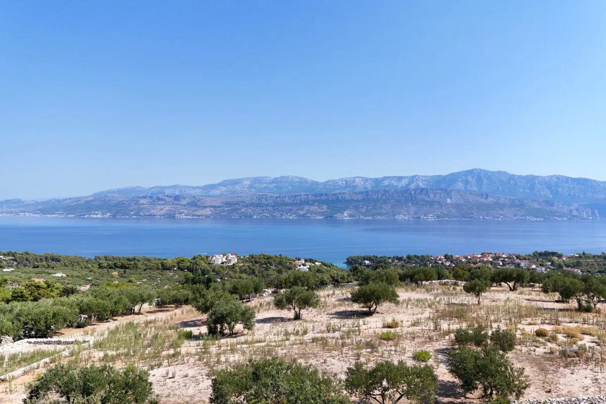 Autentično dalmatinsko imanje sa 700 maslina i bazenom