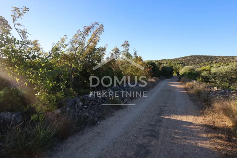 Tribunj – poljoprivredno zemljište, 1.500 m²