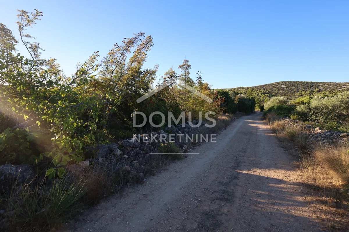 Tribunj – poljoprivredno zemljište, 1.500 m²