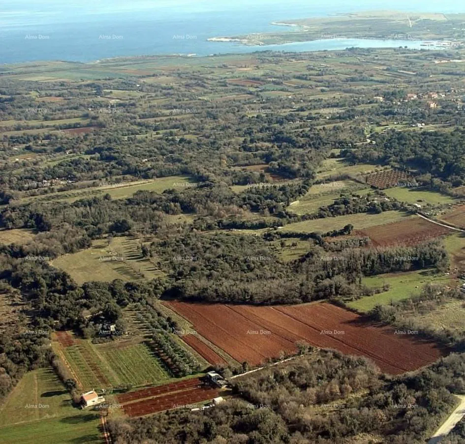 Investicijska prilika! Prodaja građevinskog zemljišta turističko-ugostiteljske namjene-T zona, Ližnjan!